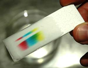 کاغذ کروماتوگرافی