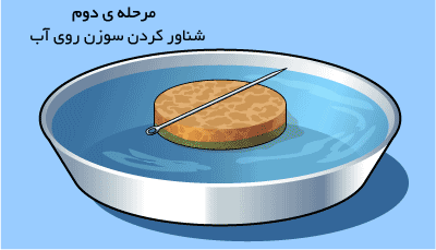 قطب نما خانگی بسازید