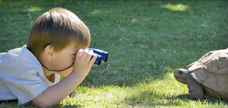 طبیعت منبع الهام و اکتشاف کودک