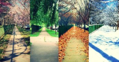 چگونه ماه تولد شما روی شخصیت شما اثر می‌گذارد؟ 