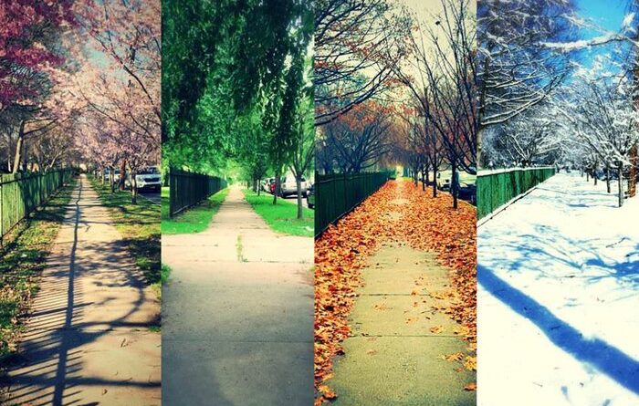 چگونه ماه تولد شما روی شخصیت شما اثر می‌گذارد؟ 