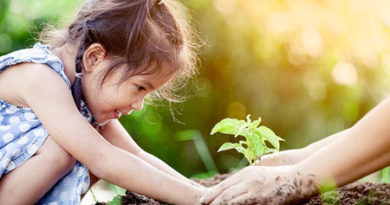 طبیعت منبع الهام و اکتشاف کودک