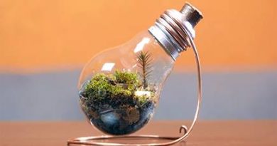 آموزش ساخت گلدان بسیار زیبا با لامپ