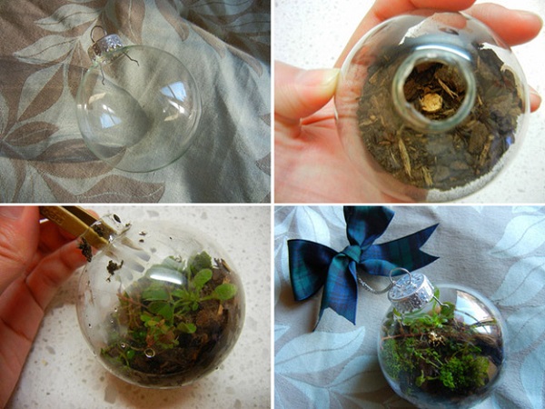 آموزش ساخت تراریوم (باغ شیشه ای)