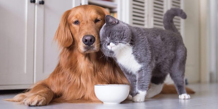 حقایق و دانستنی های علمی جالب