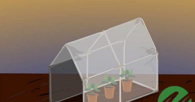 آموزش ساخت گلخانه خانگی