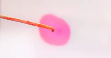 یک راهکار ساده و کم‌خرج برای ساخت میکروسکوپ خانگی