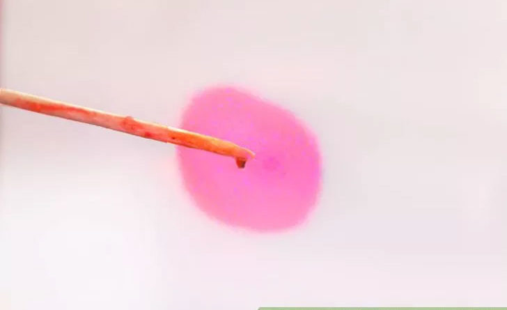 یک راهکار ساده و کم‌خرج برای ساخت میکروسکوپ خانگی