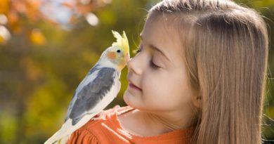 آشنایی با حیوانات خانگی مناسب کودکان