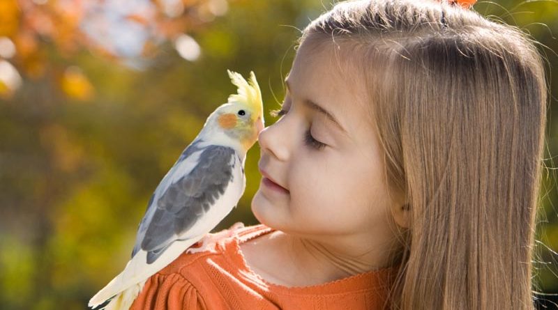 آشنایی با حیوانات خانگی مناسب کودکان