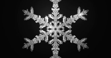 طرز تهیه یک دانه برف