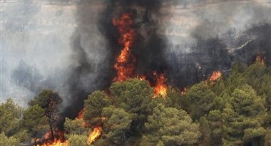 عواملی که آتش های تابیتانی