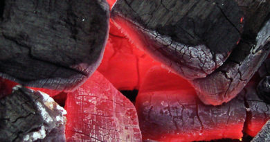 ذغال درست کنیم