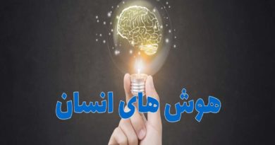 هوش های انسان