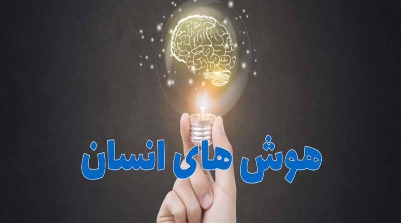 هوش های انسان