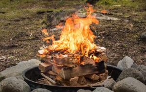 چیدن هیزم در طبیعت