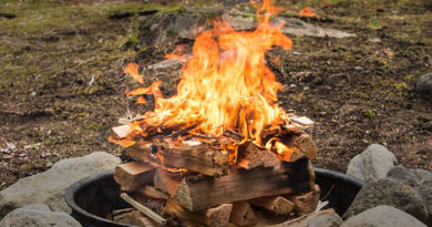 چیدن هیزم در طبیعت