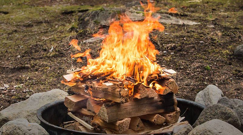 چیدن هیزم در طبیعت