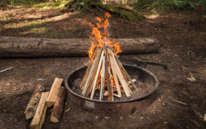 چیدن هیزم در طبیعت