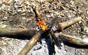 چیدن هیزم در طبیعت