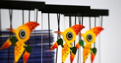 راه یافتگان