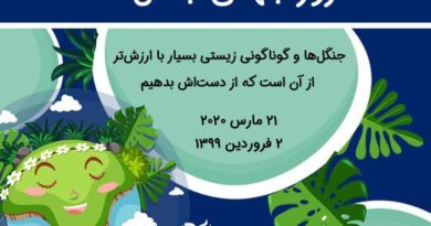 بسیار باارزش تر