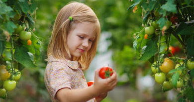 خواص گوجه فرنگی