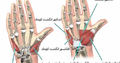 دست های شما