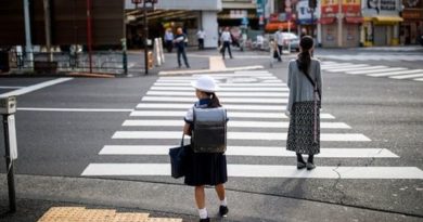 مرور ی بر ساختار آموزشی