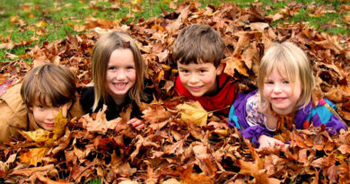 طبیعت گردی کودکان