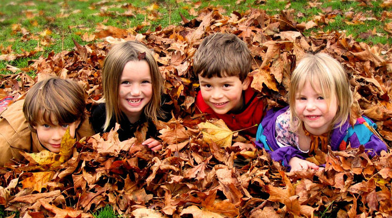 طبیعت گردی کودکان