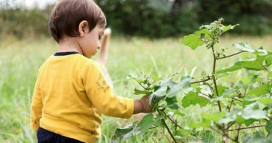 الگوهای طبیعت و اختراعات ریز و درشت!