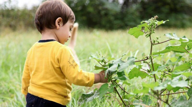 الگوهای طبیعت و اختراعات ریز و درشت!