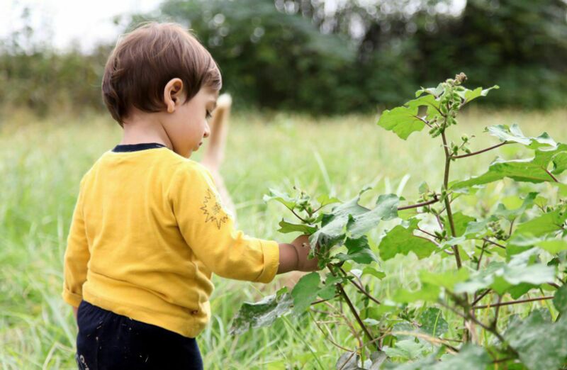 الگوهای طبیعت و اختراعات ریز و درشت!