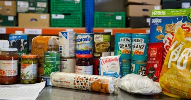 مواد غذایی آنلاین