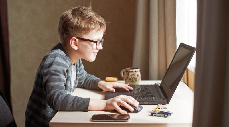 فضای مجازی میزبان