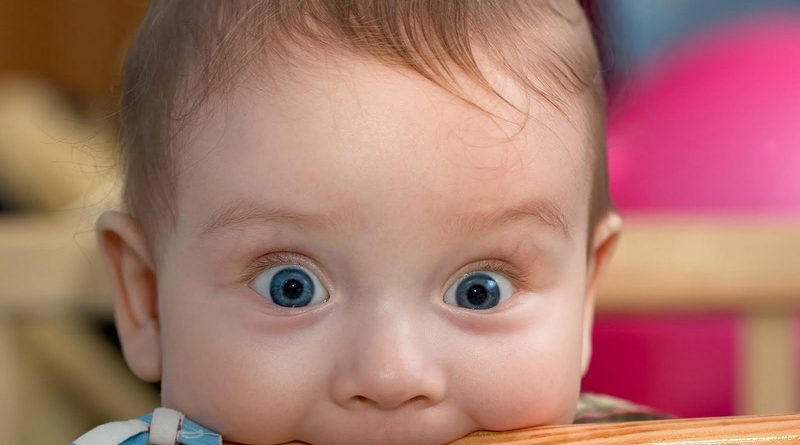 گاز گرفتن کودک