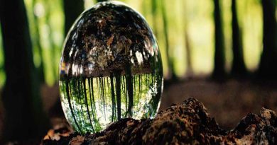 تکنیک وارونه سازی