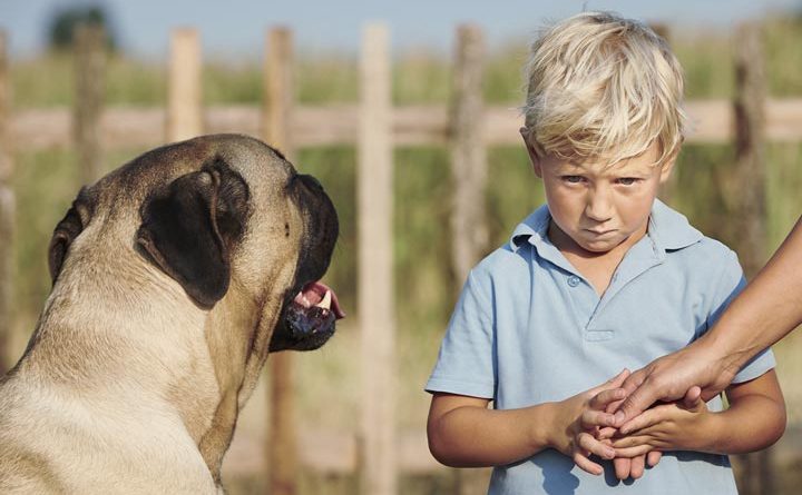 حیوانات خانگی