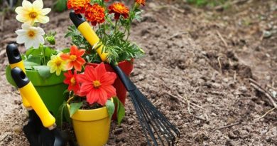 آماده کردن باغچه برای پاییز