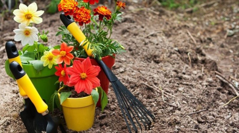 آماده کردن باغچه برای پاییز