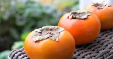 خواص خرمالو