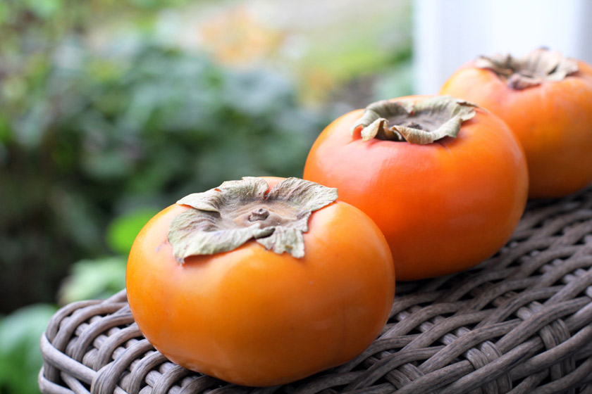 خواص خرمالو