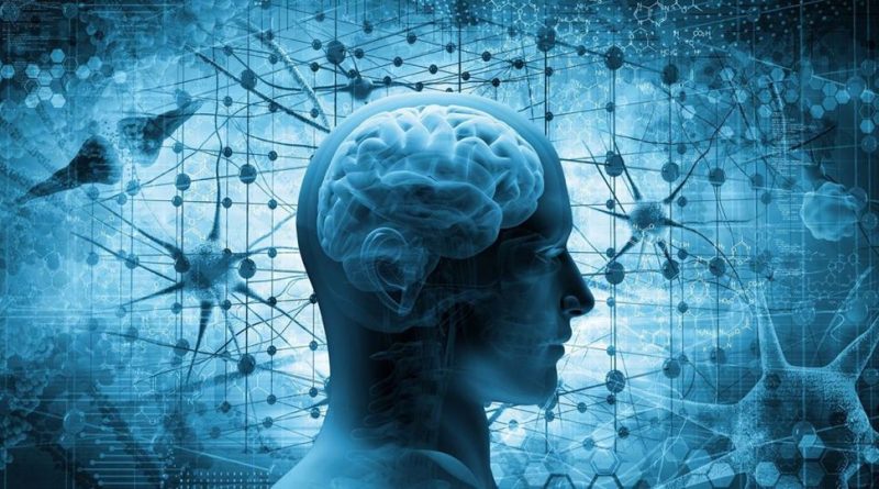 انعقاد تفاهم‌نامه‌ای برای افزایش سواد نوجوانان با علوم شناختی