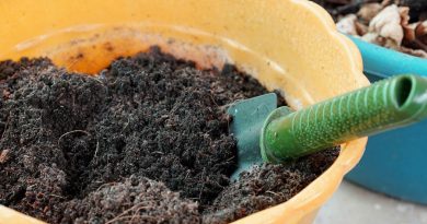 تقویت خاک گلدان