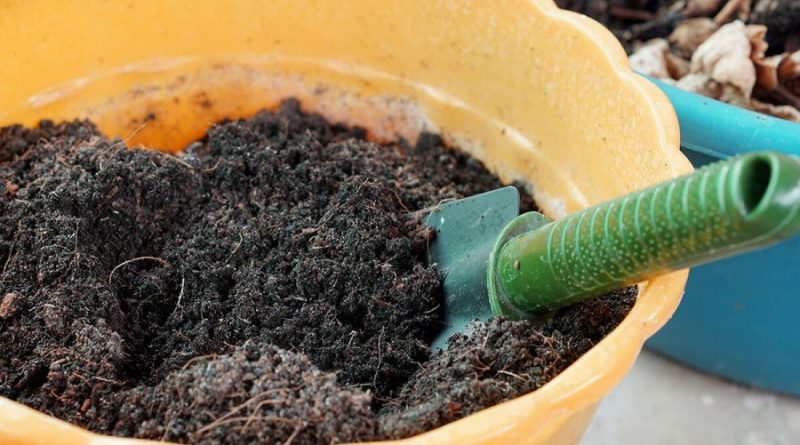 تقویت خاک گلدان