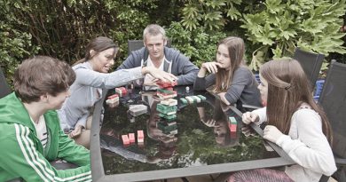 شبه خانواده