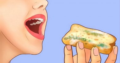 اگر تصادفی کپک بخورید این اتفاقات در بدن شما رخ می‌دهد