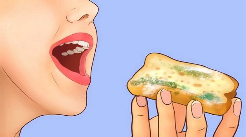 اگر تصادفی کپک بخورید این اتفاقات در بدن شما رخ میدهد