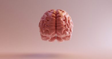 میکروسفالی